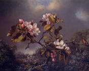 Apple Blossoms and Hummingbird - 马丁·约翰逊·赫德